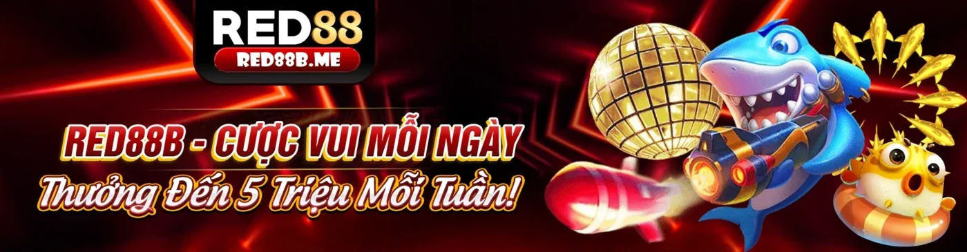 Hình ảnh chính T888 Link Vào